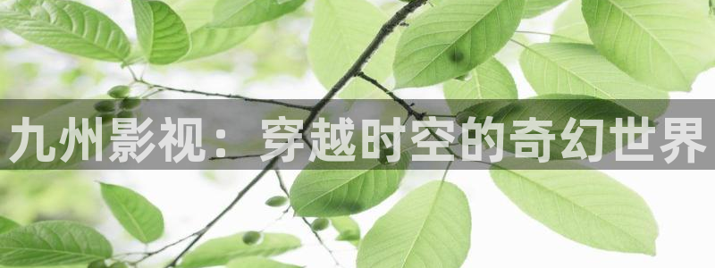宁波 西瓜