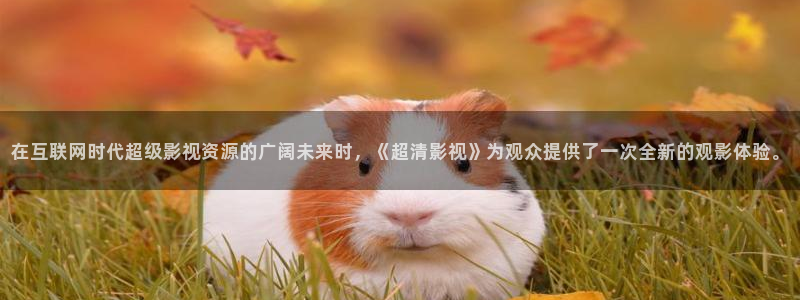 那年花开月正圆免费观看西瓜