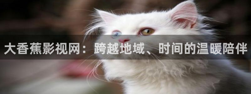 91西瓜影院
