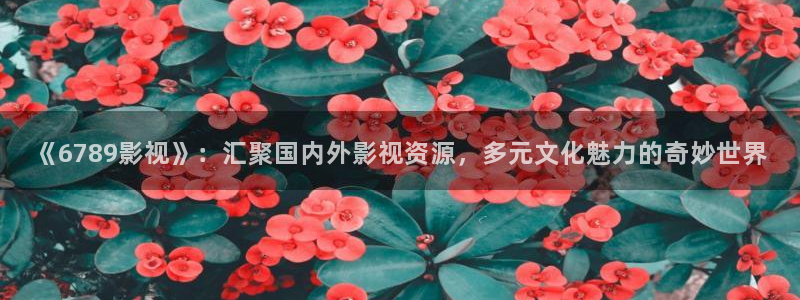 西瓜哈密瓜