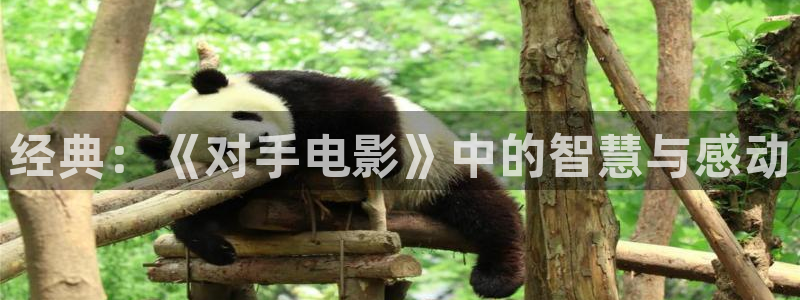 我喜欢你免费观看全集西瓜
