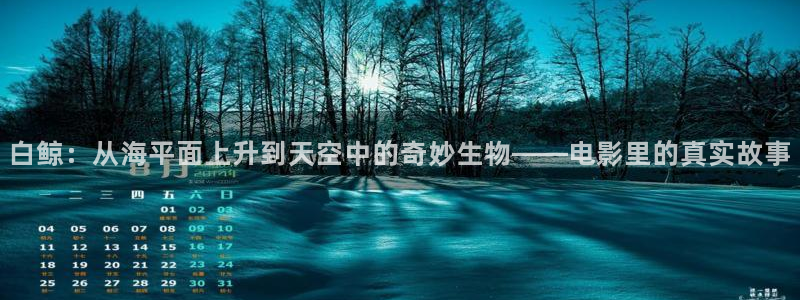 西瓜在线影视剧