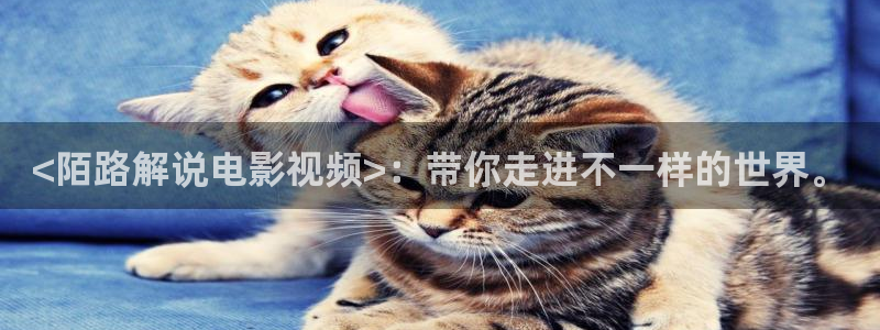 西瓜大片免费在线观看