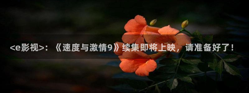 免费观看西瓜电影