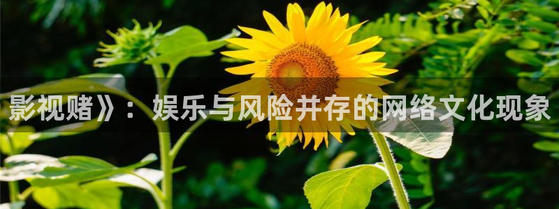 了不起的女孩免费观看完整版西瓜