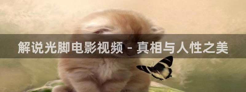 我是大仙尊免费观看西瓜