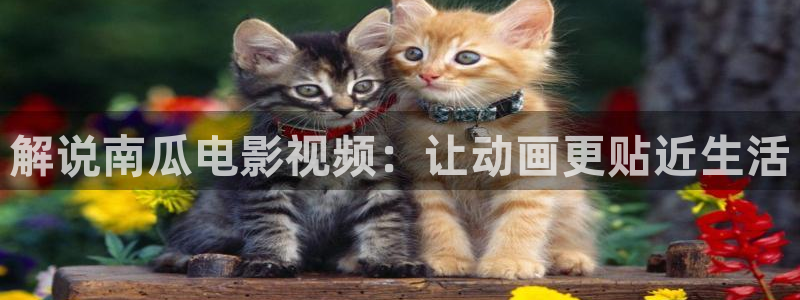 我在北京等你免费观看西瓜