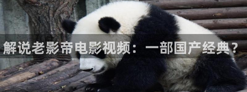 西瓜视频看西瓜视频